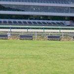 競馬には様々な魅力があります